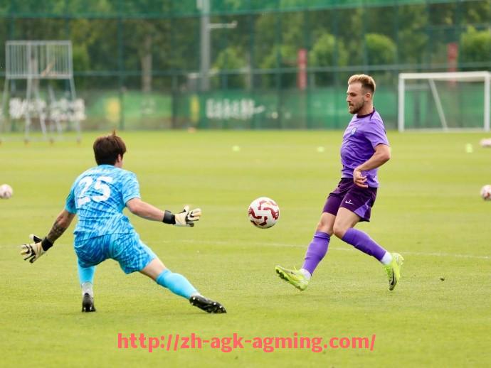 AG娱乐登录-法甲球员关键战役表现回顾：挺身而出的瞬间