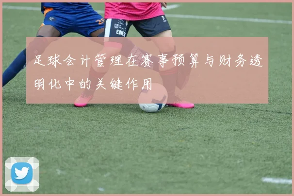 足球会计管理在赛事预算与财务透明化中的关键作用