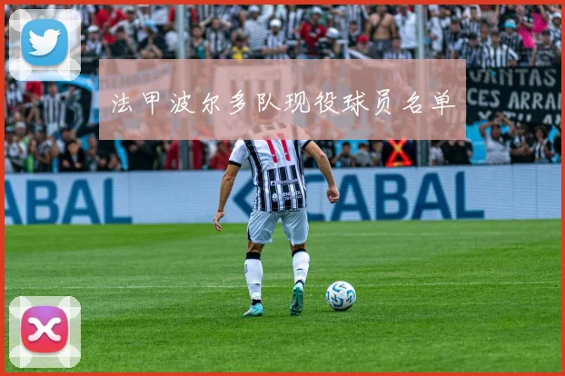 法甲波尔多队现役球员名单