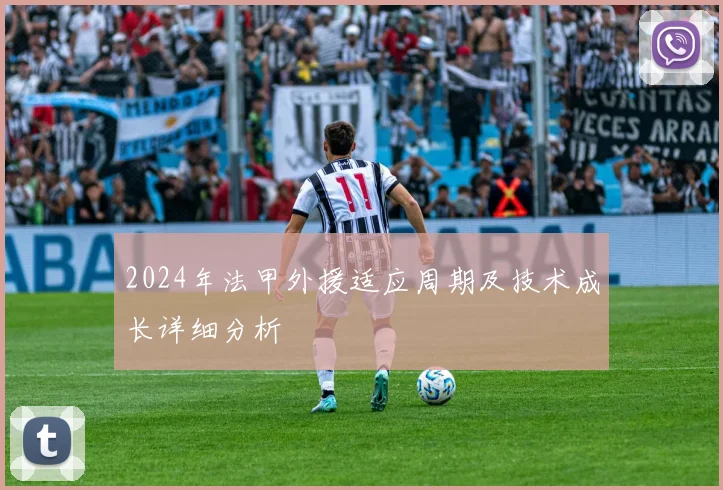 2024年法甲外援适应周期及技术成长详细分析