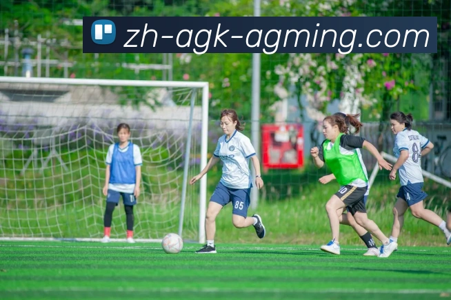 AG娱乐登录平台生态图