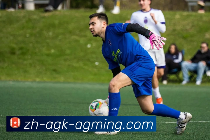 AG娱乐登录APP 封面图